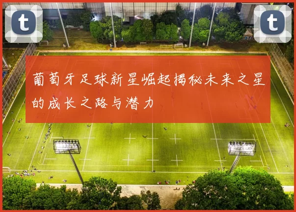 葡萄牙足球新星崛起揭秘未来之星的成长之路与潜力