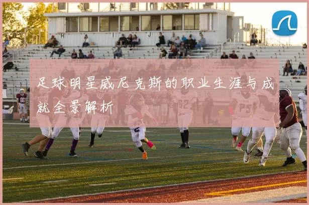 足球明星威尼克斯的职业生涯与成就全景解析