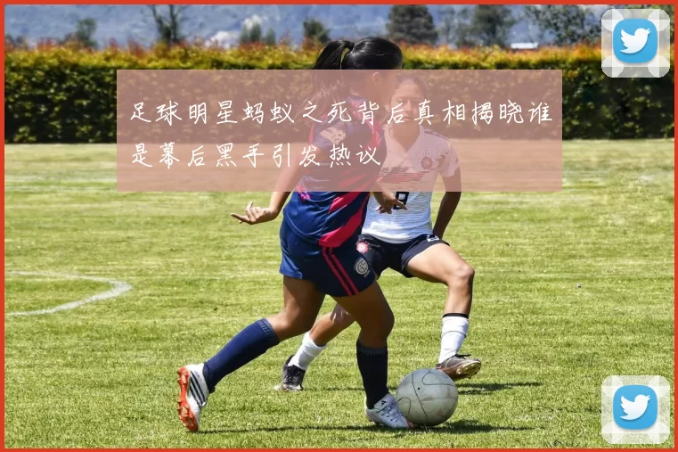 足球明星蚂蚁之死背后真相揭晓谁是幕后黑手引发热议