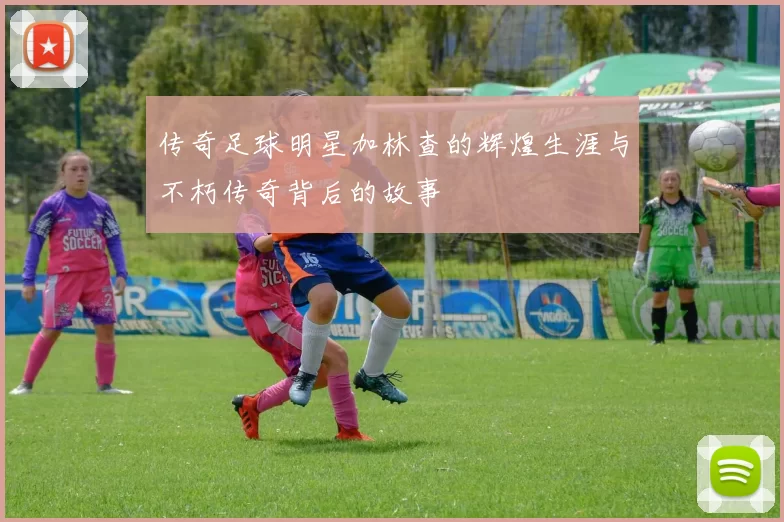 传奇足球明星加林查的辉煌生涯与不朽传奇背后的故事