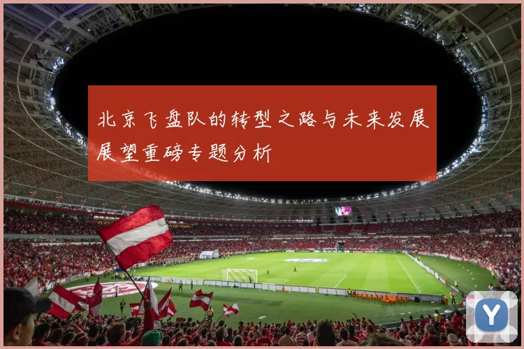 北京飞盘队的转型之路与未来发展展望重磅专题分析