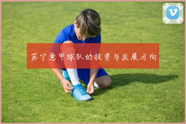 苏宁意甲球队的投资与发展方向