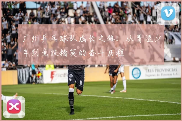 广州乒乓球队成长之路：从青涩少年到竞技精英的奋斗历程
