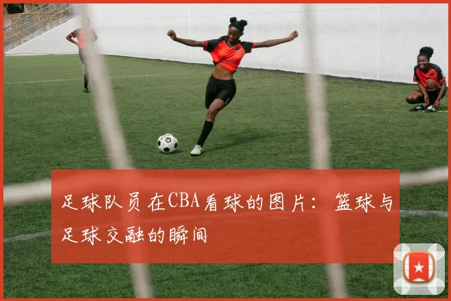 足球队员在CBA看球的图片：篮球与足球交融的瞬间