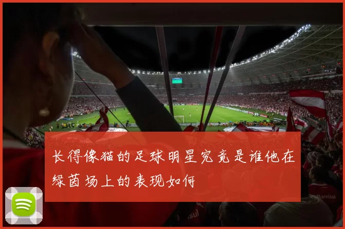 长得像猫的足球明星究竟是谁他在绿茵场上的表现如何