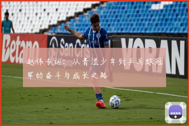 赵伟专访：从青涩少年到乒乓球冠军的奋斗与成长之路