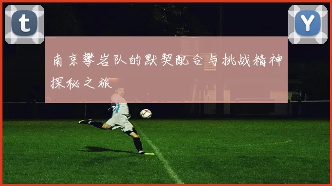 南京攀岩队的默契配合与挑战精神探秘之旅