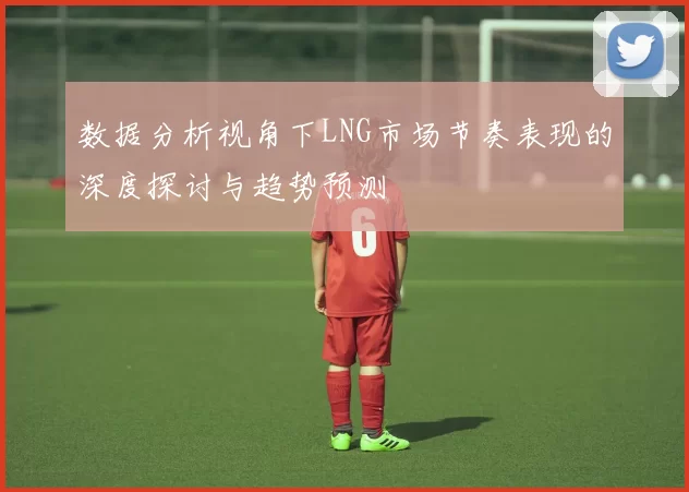 数据分析视角下LNG市场节奏表现的深度探讨与趋势预测