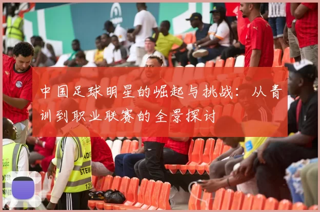 中国足球明星的崛起与挑战：从青训到职业联赛的全景探讨