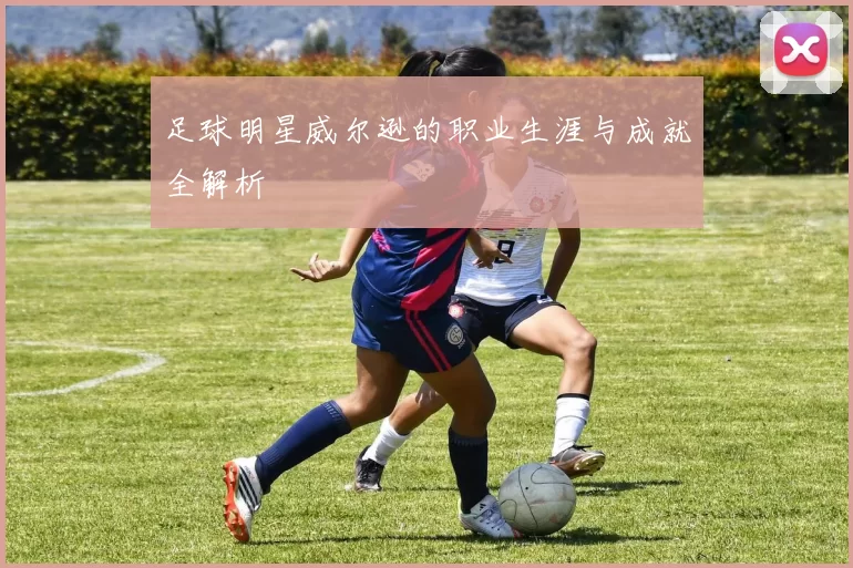 足球明星威尔逊的职业生涯与成就全解析