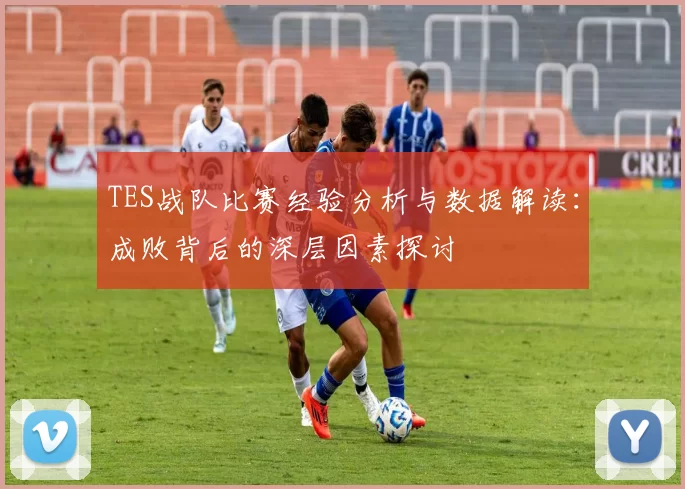 TES战队比赛经验分析与数据解读：成败背后的深层因素探讨
