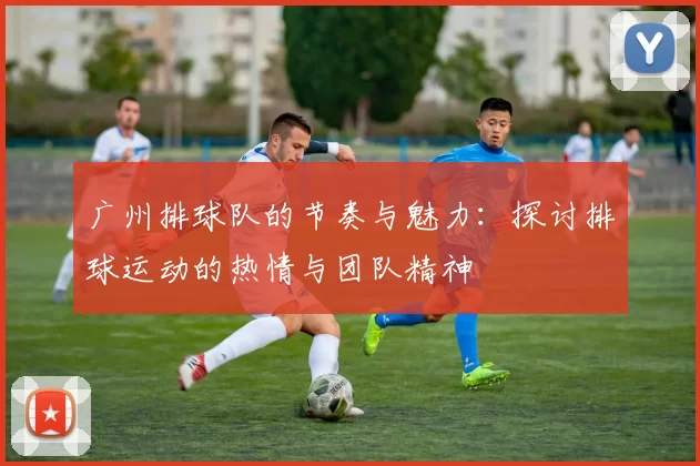 广州排球队的节奏与魅力：探讨排球运动的热情与团队精神