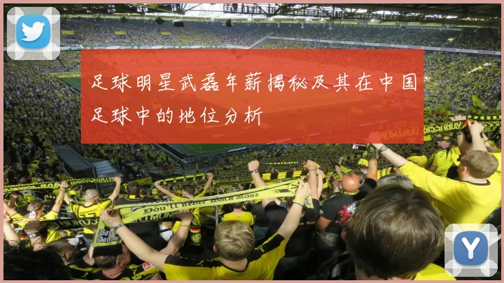 足球明星武磊年薪揭秘及其在中国足球中的地位分析