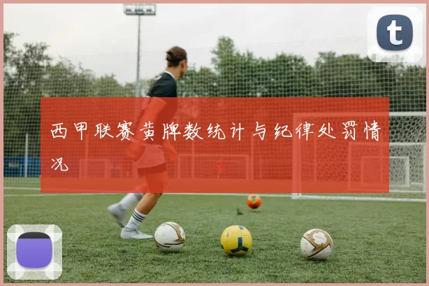 西甲联赛黄牌数统计与纪律处罚情况