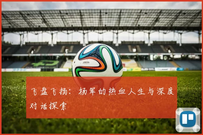 飞盘飞扬：杨军的热血人生与深度对话探索