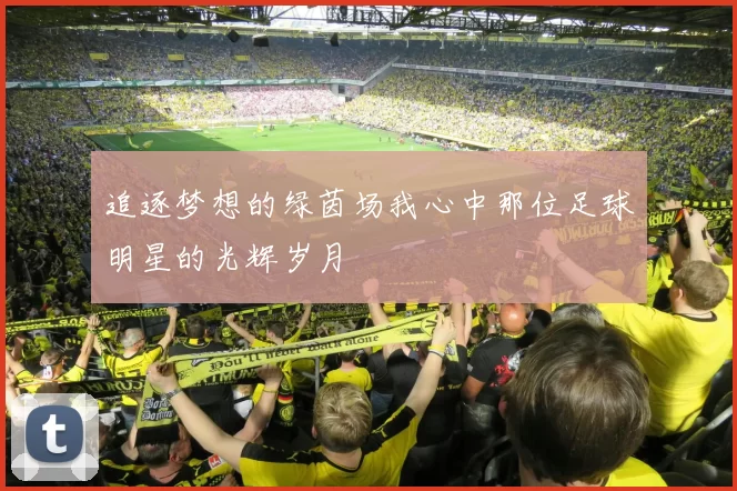 追逐梦想的绿茵场我心中那位足球明星的光辉岁月