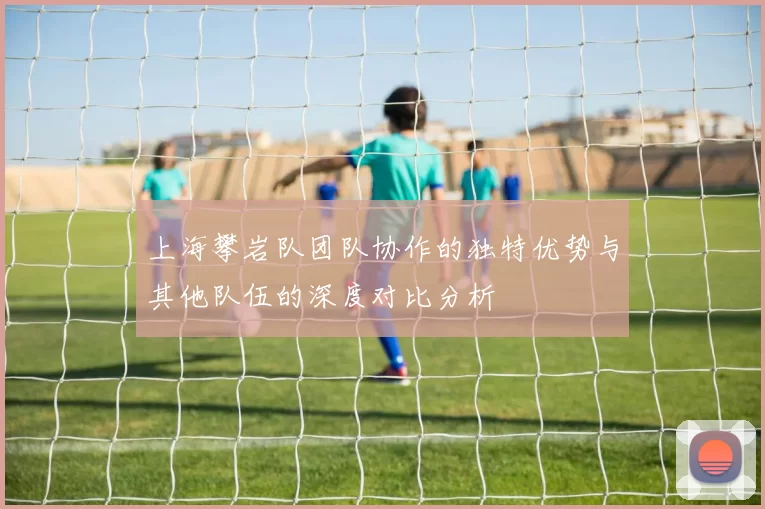 上海攀岩队团队协作的独特优势与其他队伍的深度对比分析