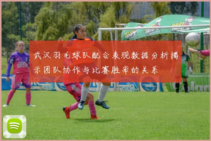 武汉羽毛球队配合表现数据分析揭示团队协作与比赛胜率的关系