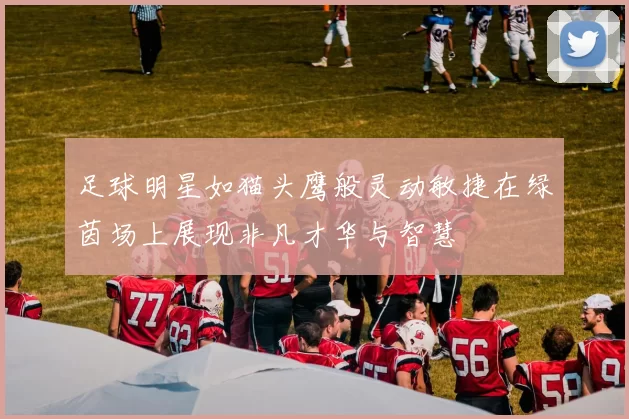 足球明星如猫头鹰般灵动敏捷在绿茵场上展现非凡才华与智慧