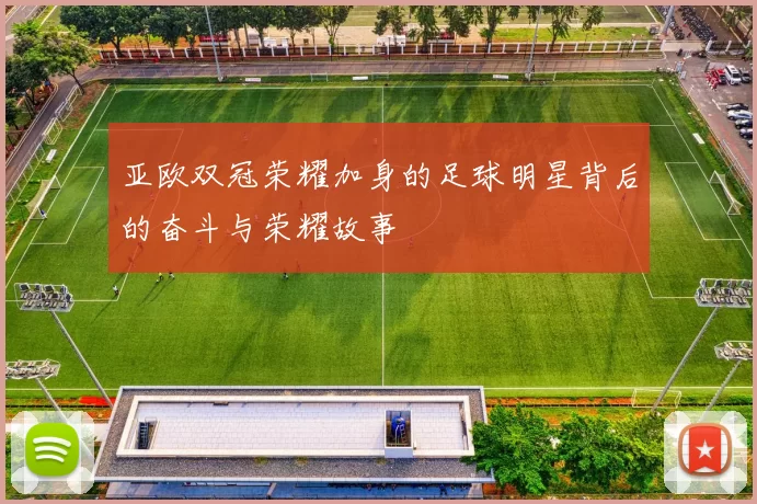 亚欧双冠荣耀加身的足球明星背后的奋斗与荣耀故事