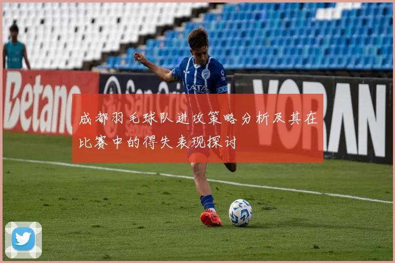 成都羽毛球队进攻策略分析及其在比赛中的得失表现探讨
