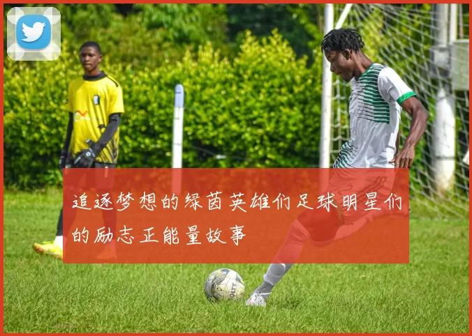 追逐梦想的绿茵英雄们足球明星们的励志正能量故事