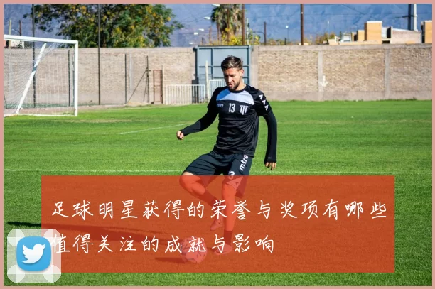 足球明星获得的荣誉与奖项有哪些值得关注的成就与影响