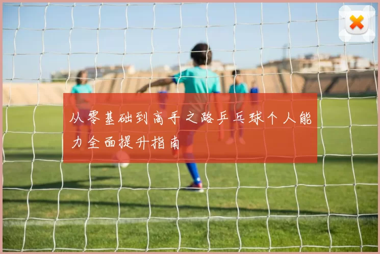 从零基础到高手之路乒乓球个人能力全面提升指南