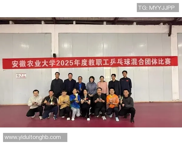 乒乓球新手必看团队协作技巧与入门指南助你快速提升球技